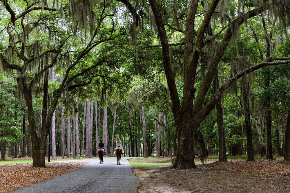 SC resort scam kingpin pleads guilty to tax and wire fraud in Charleston